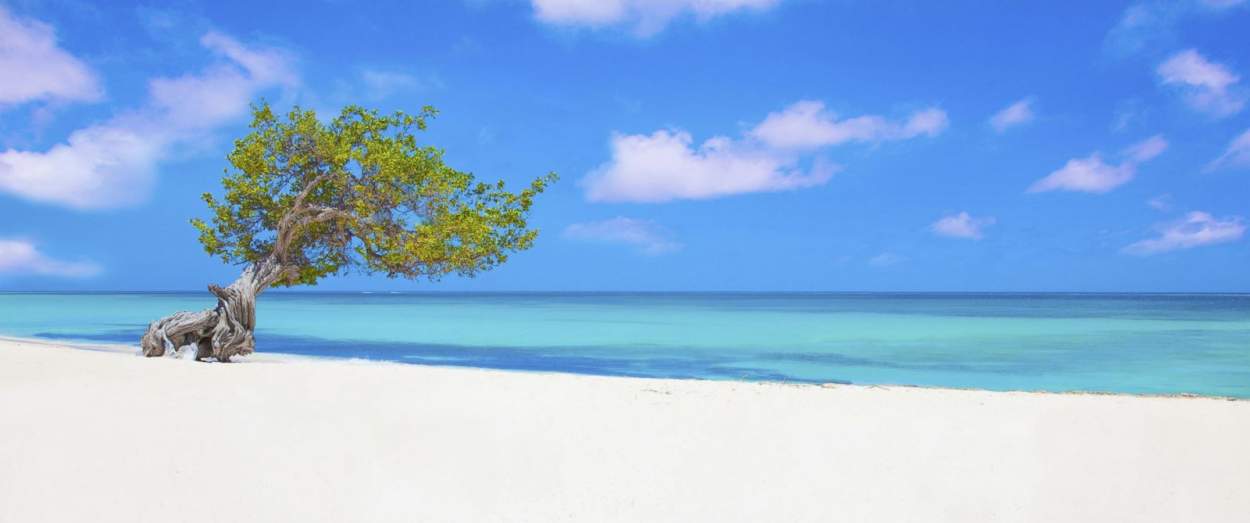 Reservation Wheels2Go Aruba